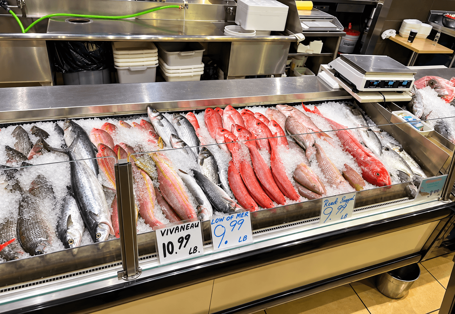 Comptoir de poissonnerie avec poissons frais sur glace.